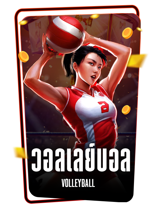 วอลเลย์บอล VOLLEYBALL