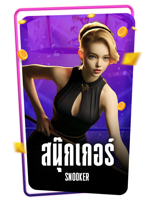 สนุกเกอร์ SNOOKER